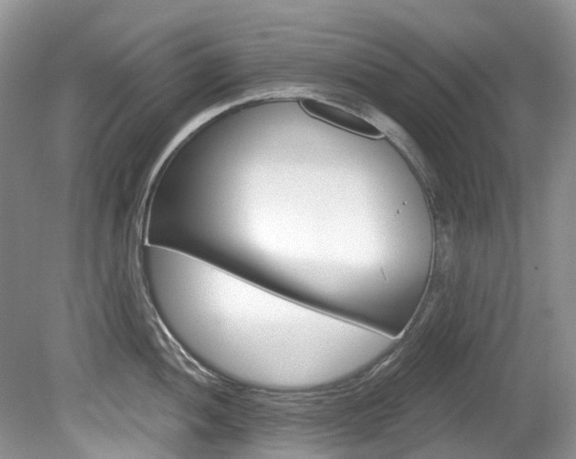 X0000080151052200612081047