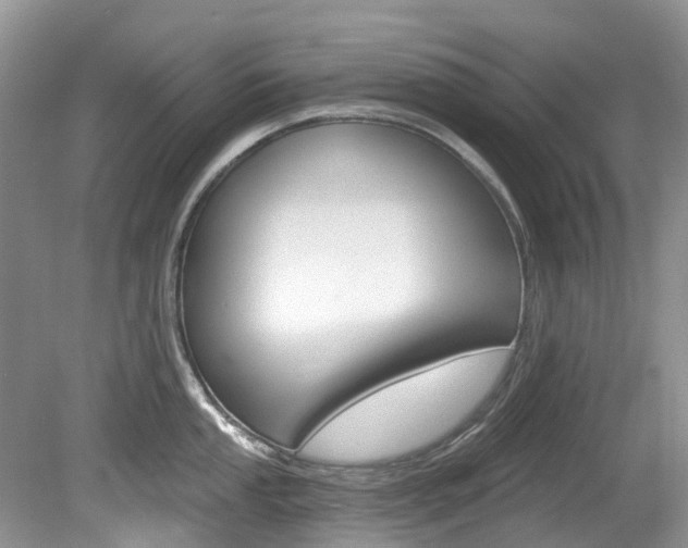 X0000080151053200612081047
