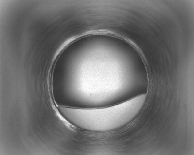 X0000080151054200612081047