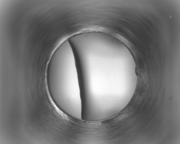 X0000080151055200612081047