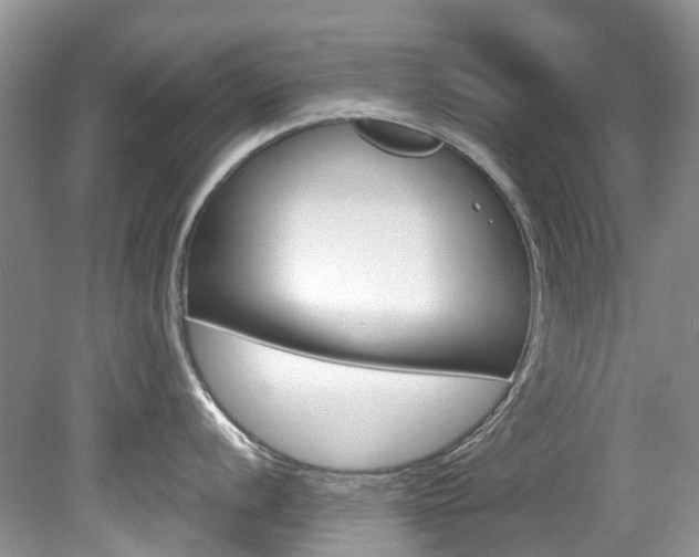 X0000080151056200612081047