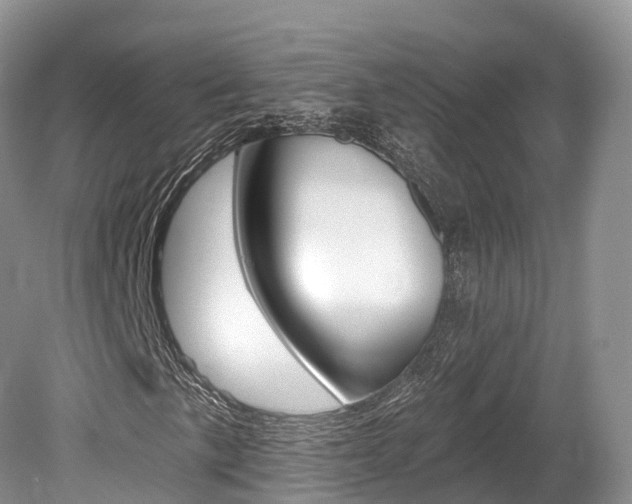 X0000080151057200612081046