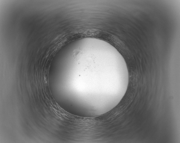 X0000080151058200612081046