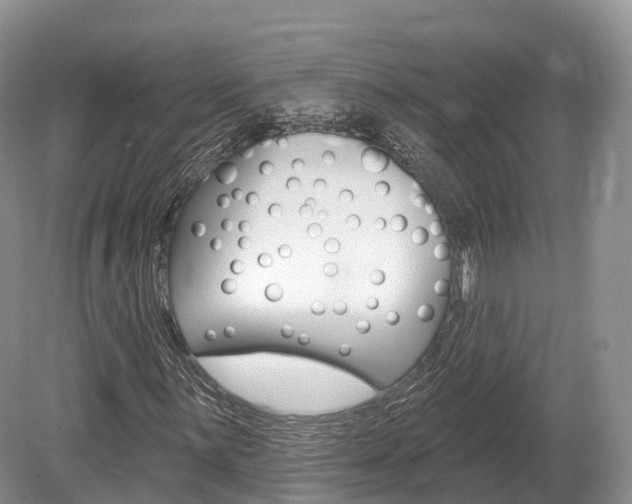 X0000080151059200612081046