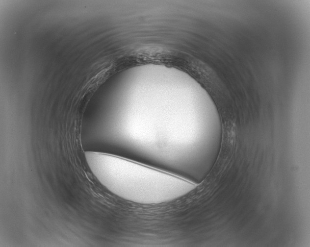 X0000080151060200612081046