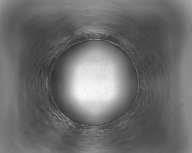 X0000080151061200612081046