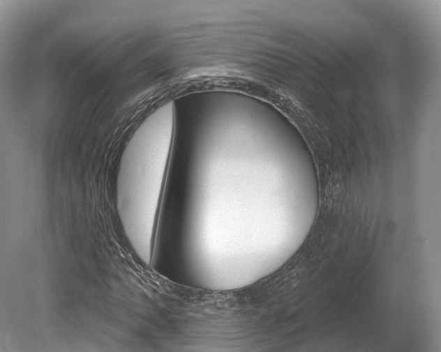 X0000080151062200612081046