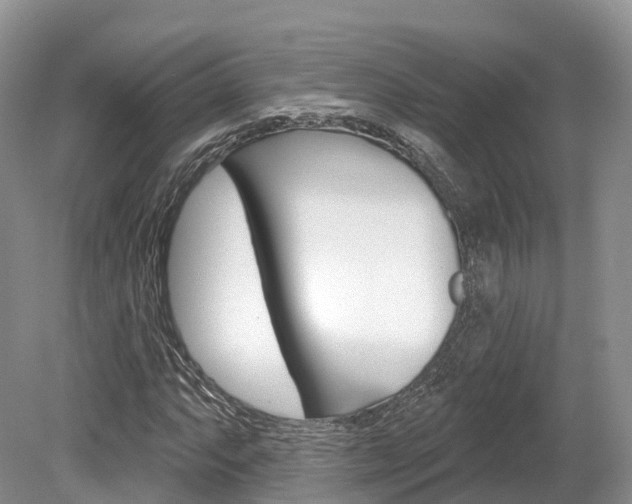 X0000080151063200612081046