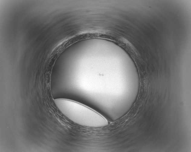 X0000080151064200612081046