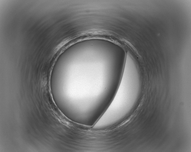 X0000080151065200612081046