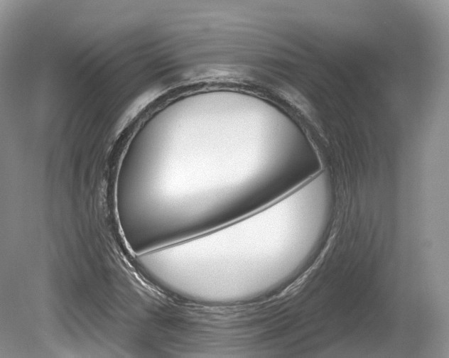 X0000080151066200612081046