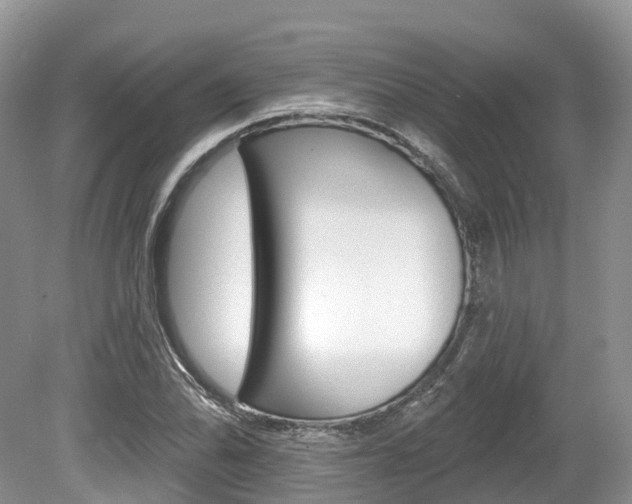 X0000080151070200612081046