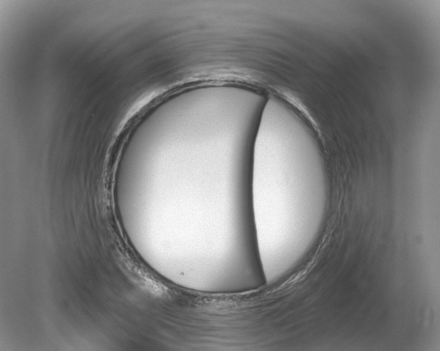 X0000080151071200612081046