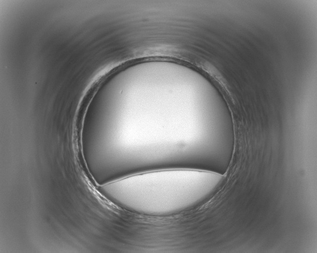X0000080151072200612081046