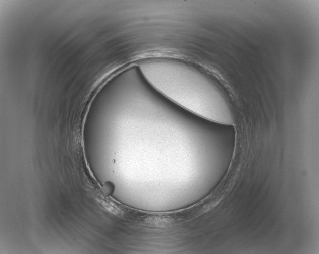 X0000080151073200612081046