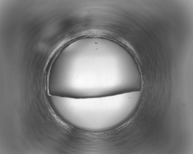 X0000080151075200612081046