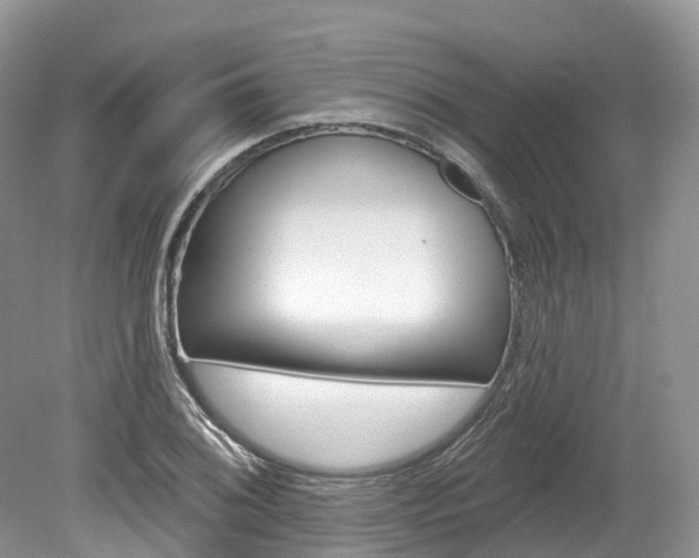 X0000080151076200612081046