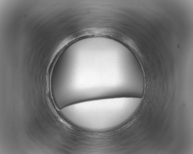 X0000080151079200612081046