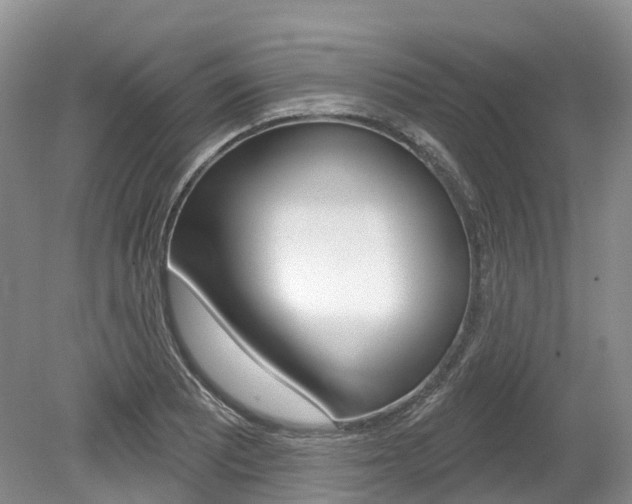 X0000080151081200612081046