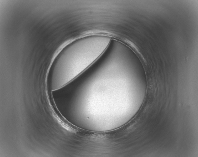 X0000080151082200612081046