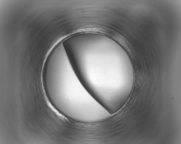 X0000080151084200612081046
