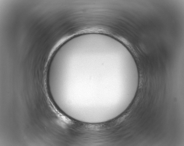 X0000080151086200612081046