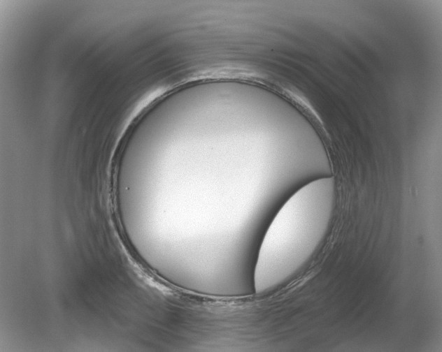 X0000080151087200612081046