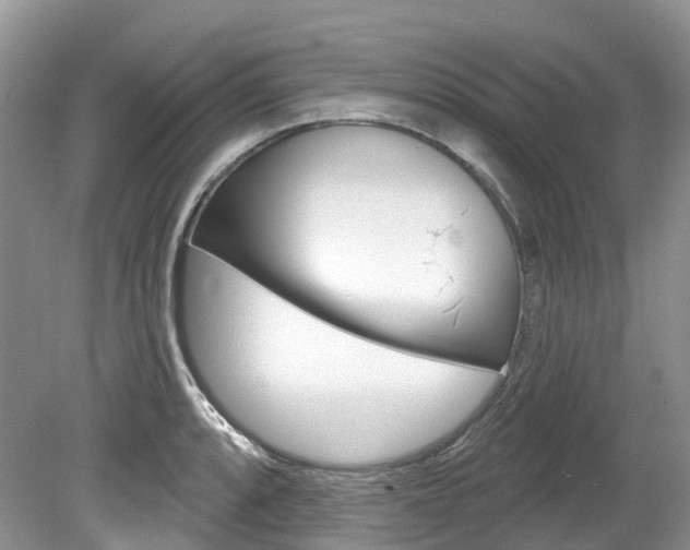 X0000080151088200612081046