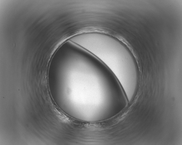 X0000080151089200612081046