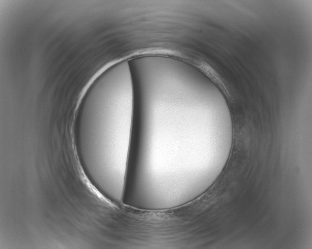 X0000080151092200612081046