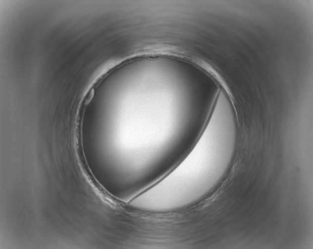 X0000080151093200612081046