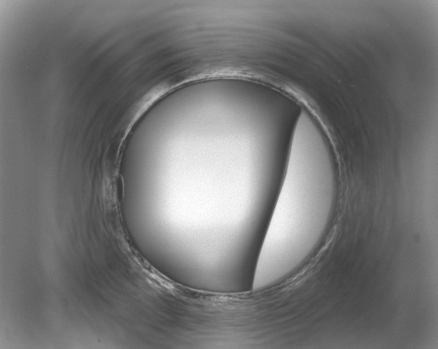 X0000080151097200612081046