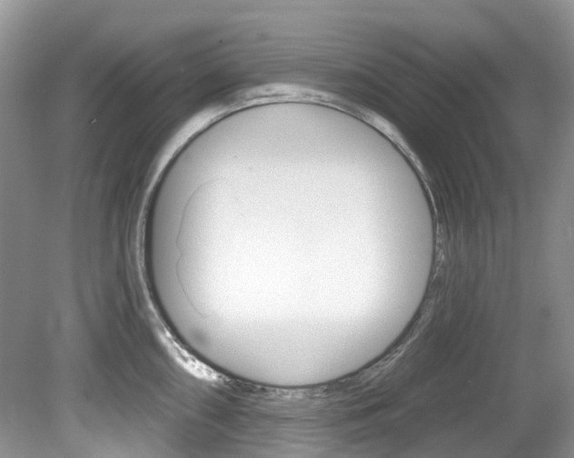 X0000080151098200612081046