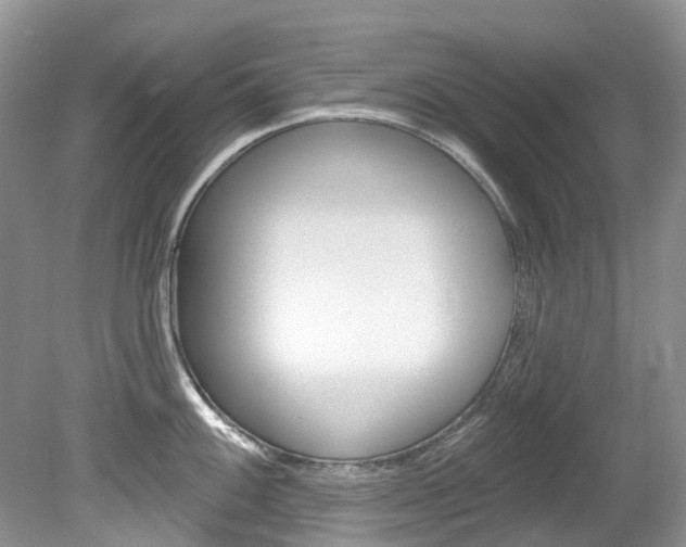 X0000080151100200612081046