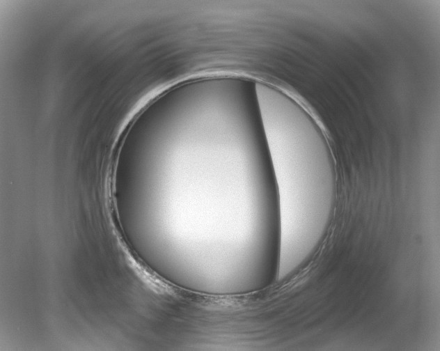 X0000080151101200612081046