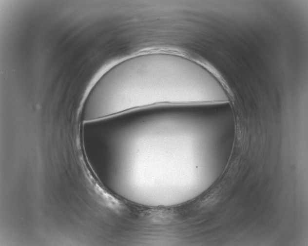 X0000080151102200612081046