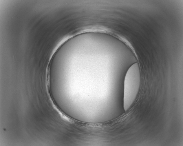 X0000080151103200612081046
