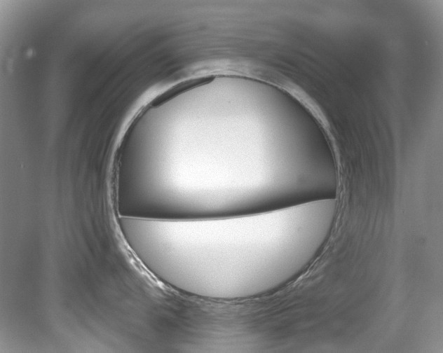 X0000080151104200612081046