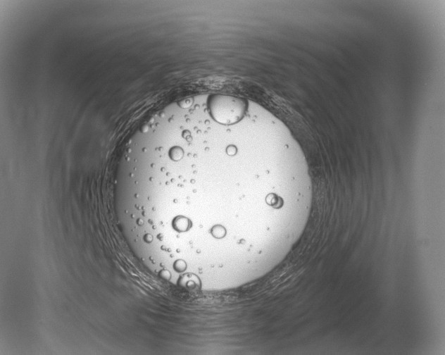 X0000080151105200612081045
