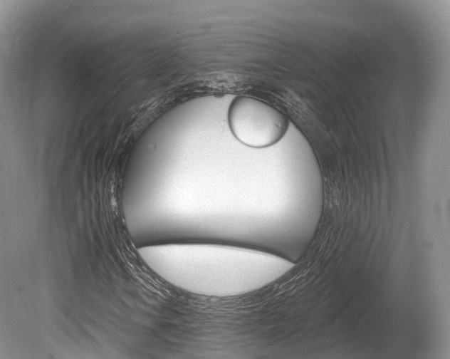 X0000080151106200612081045