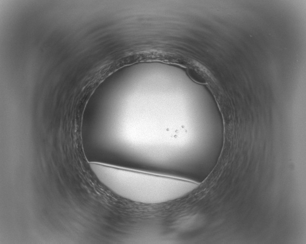 X0000080151111200612081045