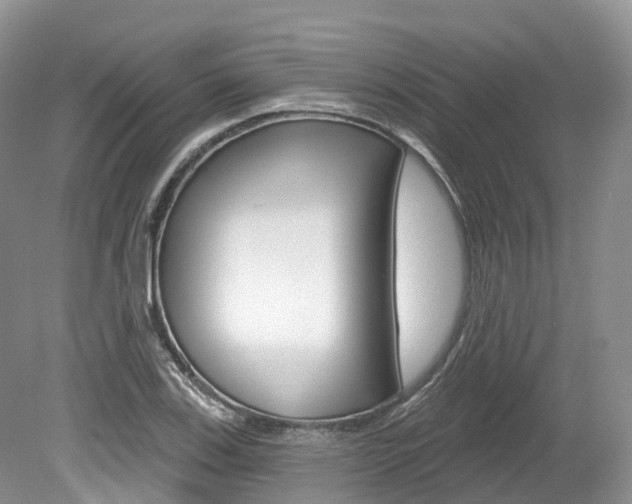 X0000080151123200612081045
