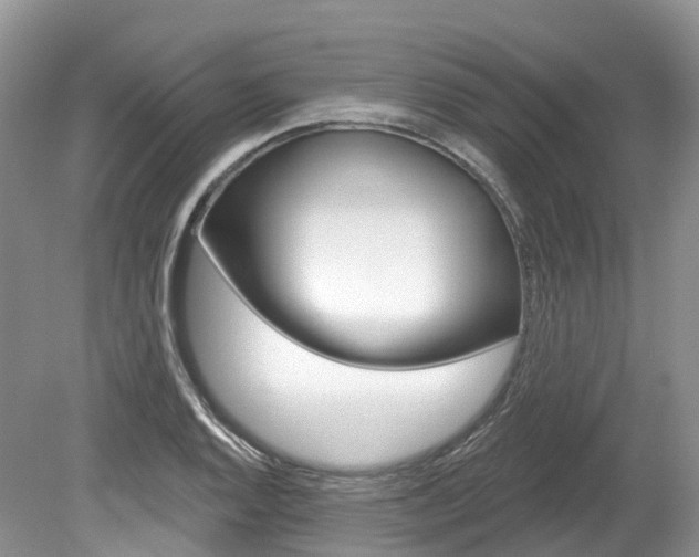 X0000080151128200612081045