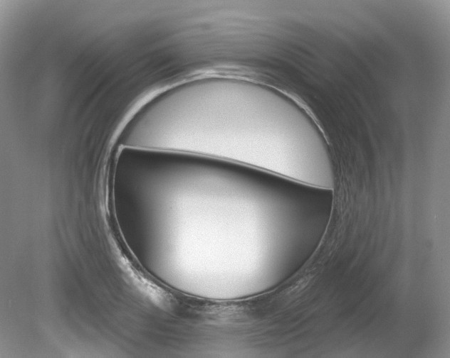X0000080151131200612081045