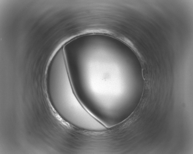 X0000080151140200612081045