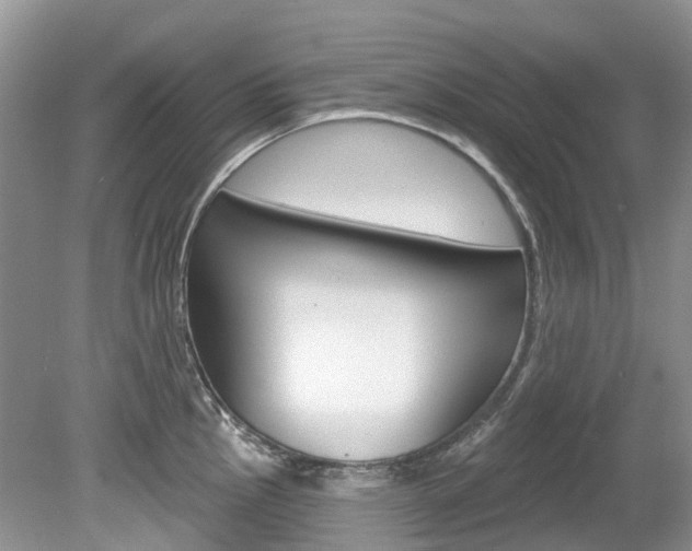 X0000080151145200612081046