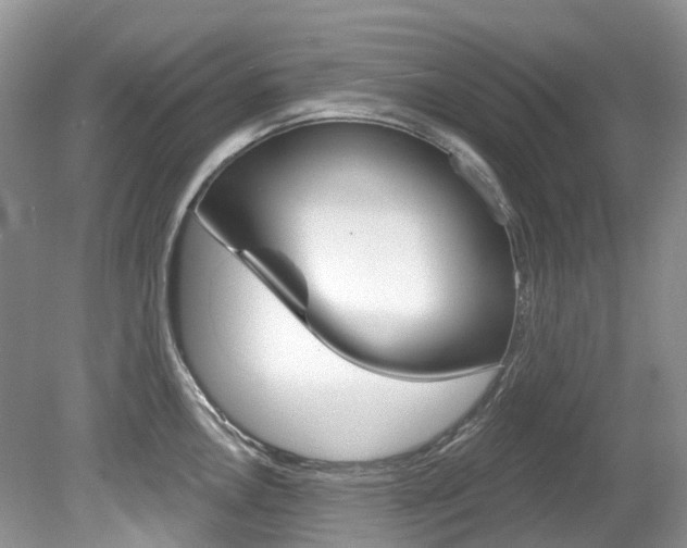 X0000080151146200612081046