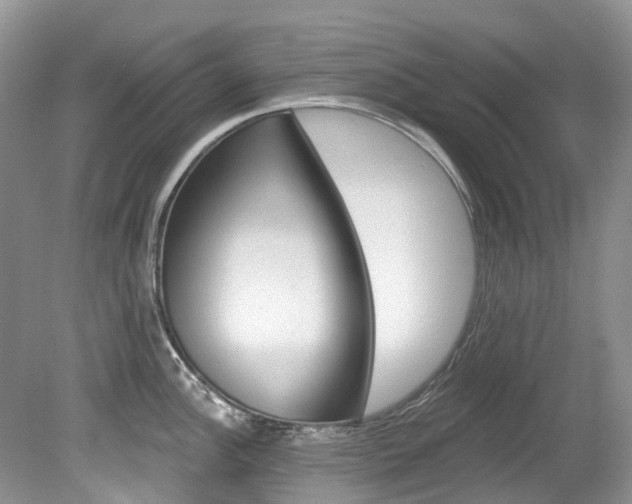 X0000080151148200612081046
