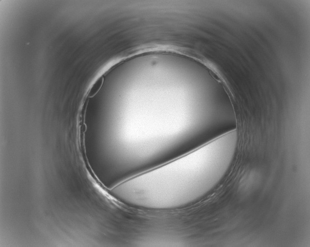 X0000080151151200612081046