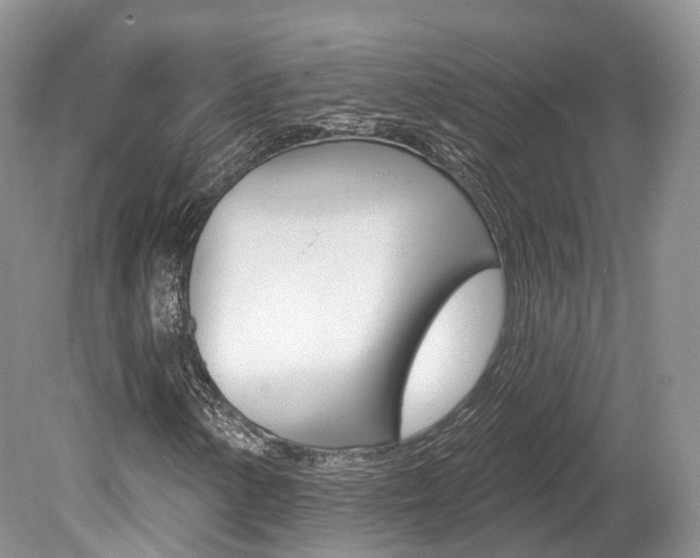 X0000080151154200612081045